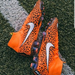 Meet your Posher, Ray